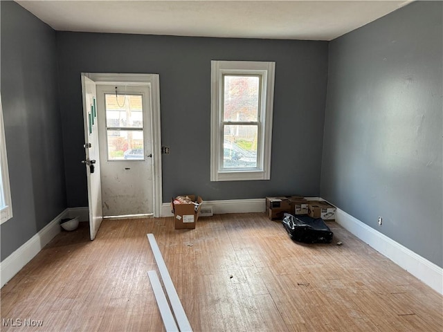 entryway featuring wood-type flooring