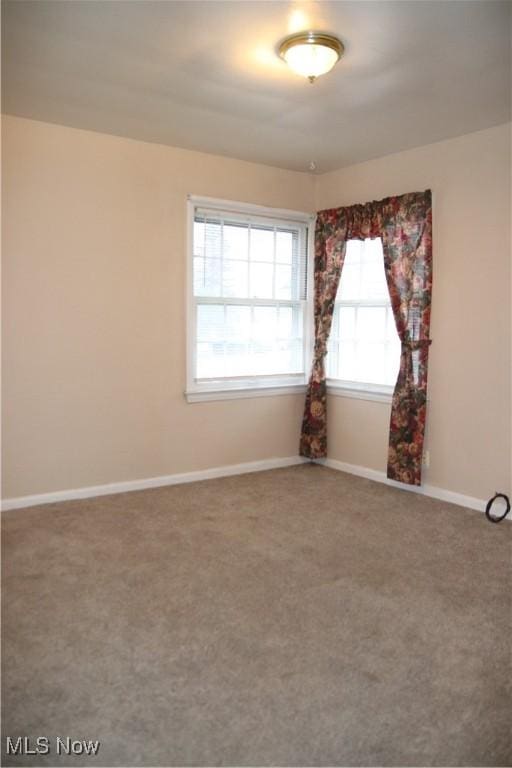 empty room featuring carpet