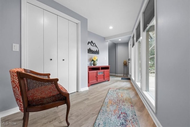 sitting room with light wood-type flooring