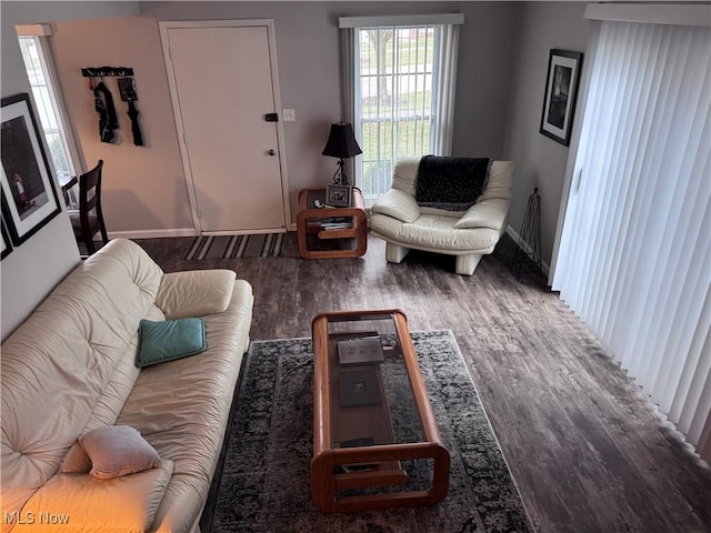 living room with dark hardwood / wood-style floors