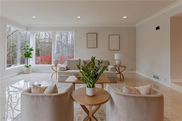 living room featuring crown molding and a healthy amount of sunlight