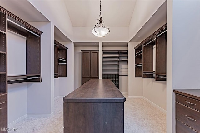 spacious closet with light carpet