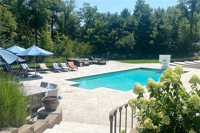 view of pool with a patio area