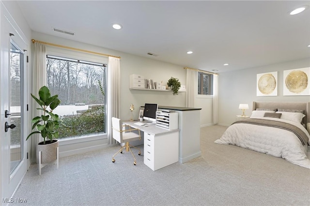 view of carpeted bedroom