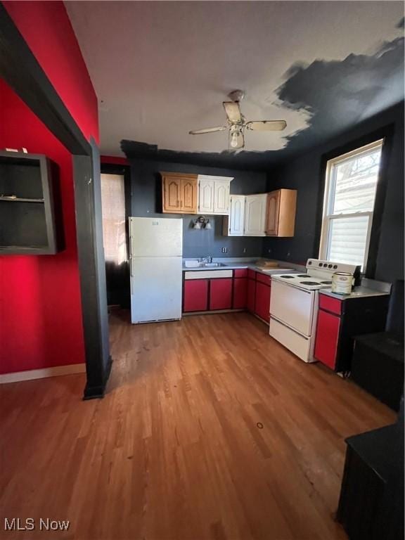 kitchen featuring white appliances, light hardwood / wood-style flooring, ceiling fan, and sink