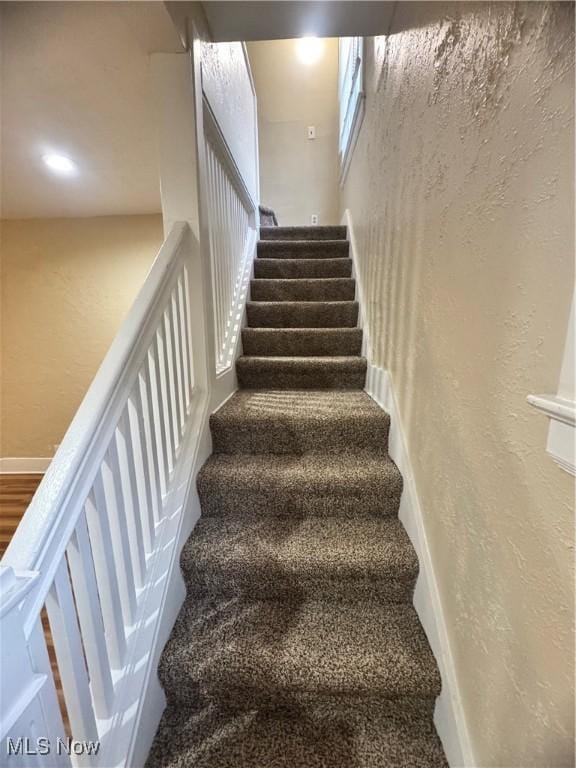 stairway featuring carpet floors