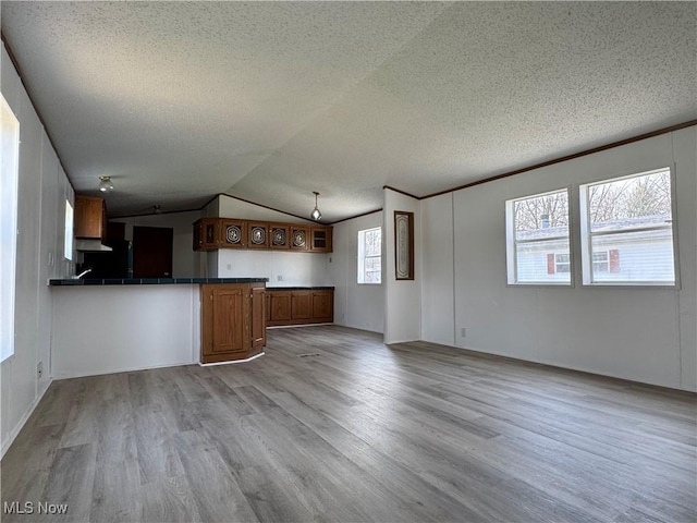 kitchen with kitchen peninsula, light wood-type flooring, plenty of natural light, and lofted ceiling