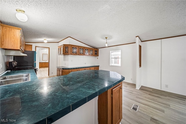 kitchen with sink, light wood-type flooring, ornamental molding, range, and a textured ceiling