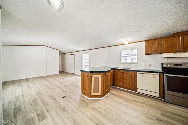 kitchen with lofted ceiling, sink, light hardwood / wood-style flooring, dishwasher, and stainless steel electric stove