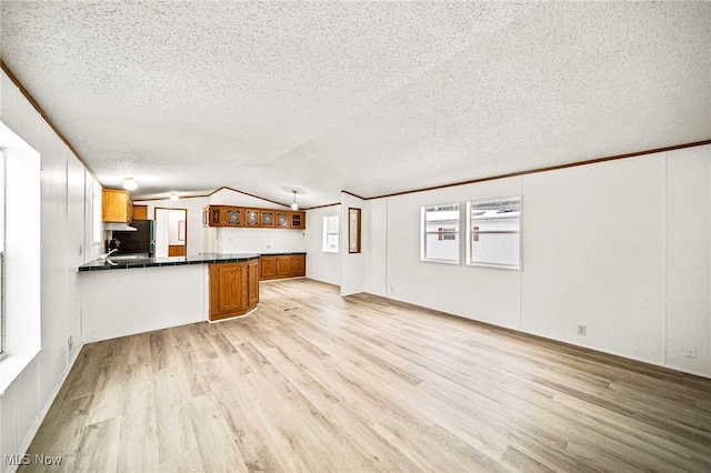 kitchen with lofted ceiling, light hardwood / wood-style floors, kitchen peninsula, and a textured ceiling