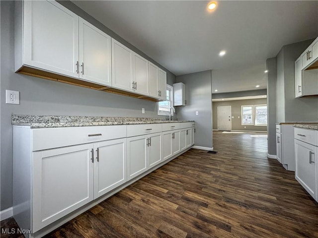 kitchen with white cabinets, light stone counters, dark hardwood / wood-style flooring, and sink