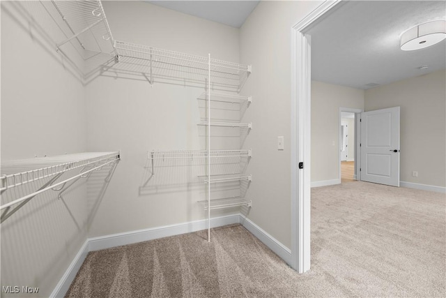 walk in closet with carpet floors