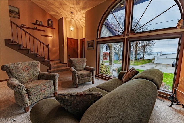 interior space featuring high vaulted ceiling