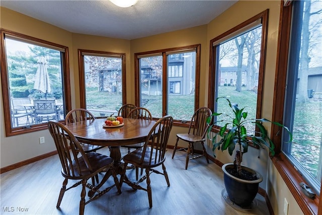 dining room with light hardwood / wood-style flooring and a textured ceiling