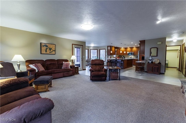 carpeted living room featuring a textured ceiling