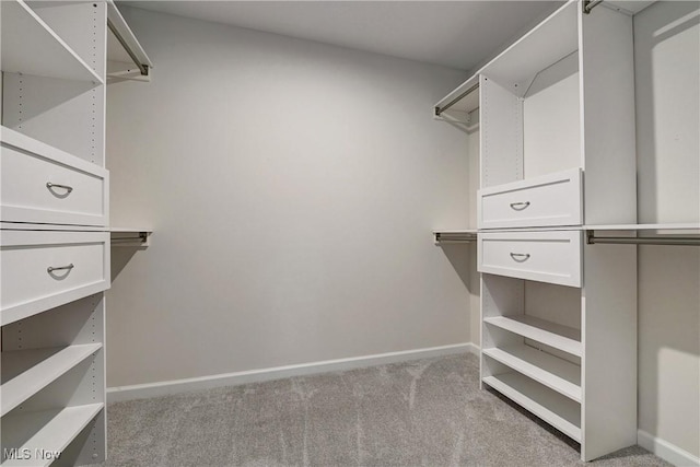 walk in closet with light colored carpet