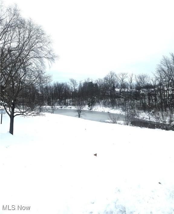 view of yard layered in snow