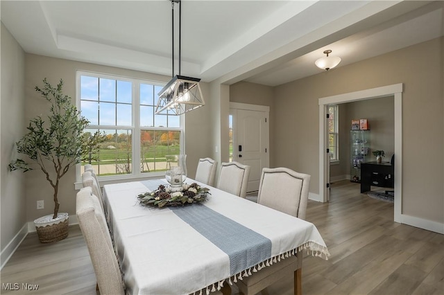 dining room with light hardwood / wood-style floors