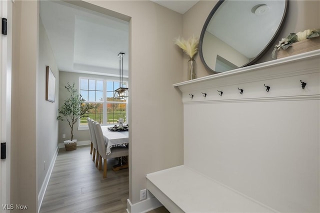 mudroom with light hardwood / wood-style flooring