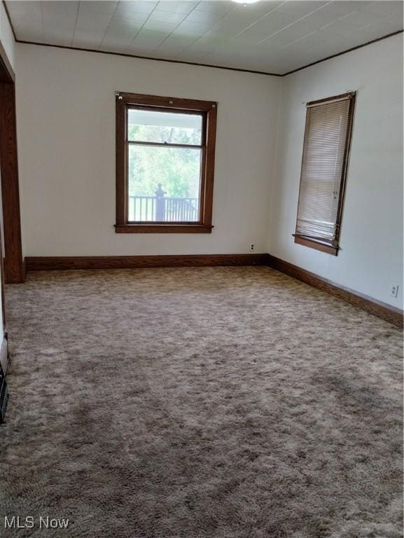 empty room featuring carpet