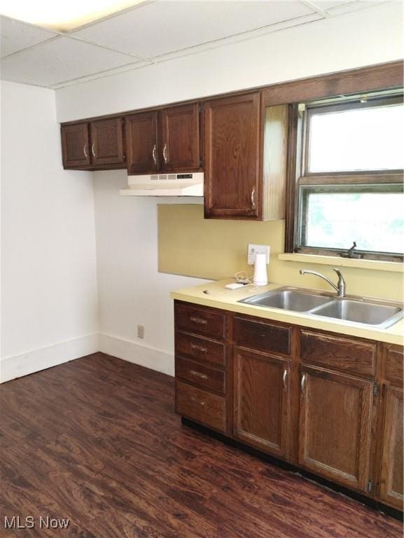 kitchen with dark hardwood / wood-style flooring, dark brown cabinetry, and sink