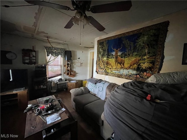 living room featuring hardwood / wood-style flooring and ceiling fan