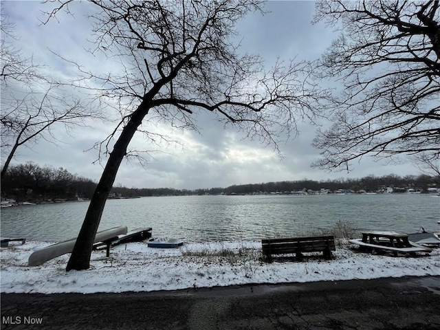 view of dock with a water view