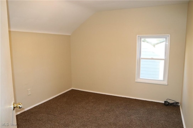 additional living space with carpet flooring and vaulted ceiling