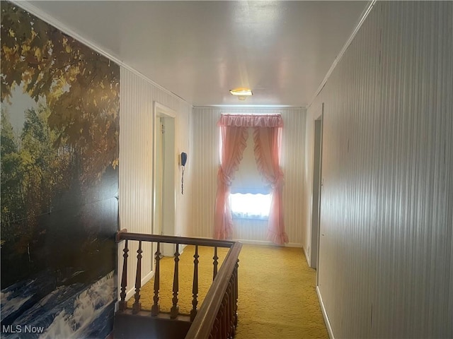 corridor featuring carpet floors and ornamental molding