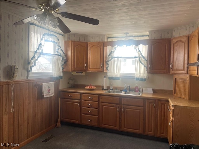 kitchen with ceiling fan and sink