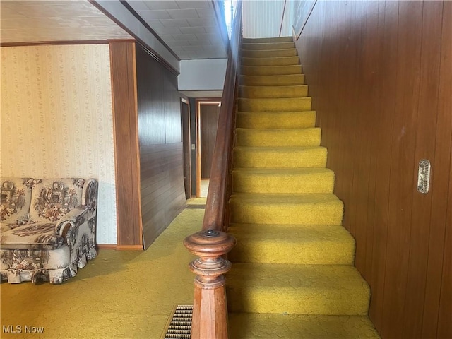 stairway featuring carpet flooring