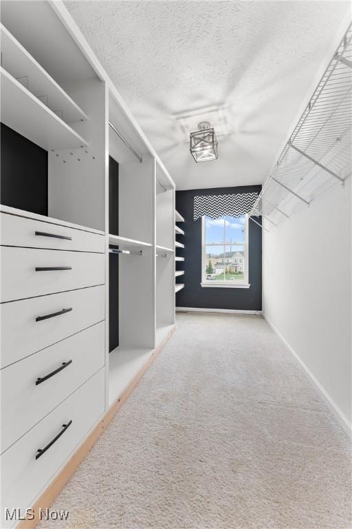 spacious closet with carpet floors