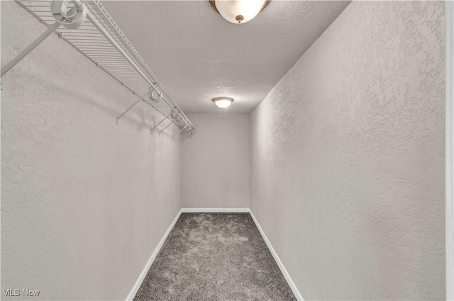 walk in closet featuring carpet flooring