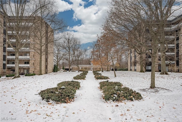 view of yard covered in snow