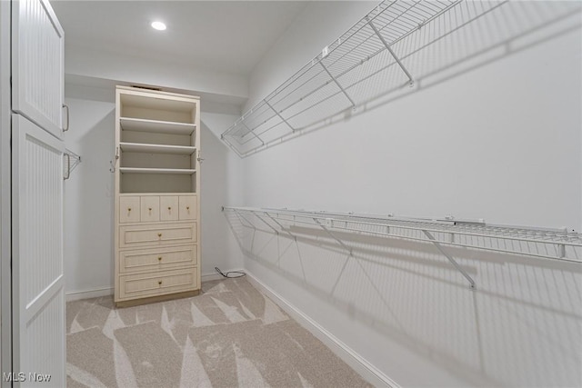 spacious closet featuring light colored carpet