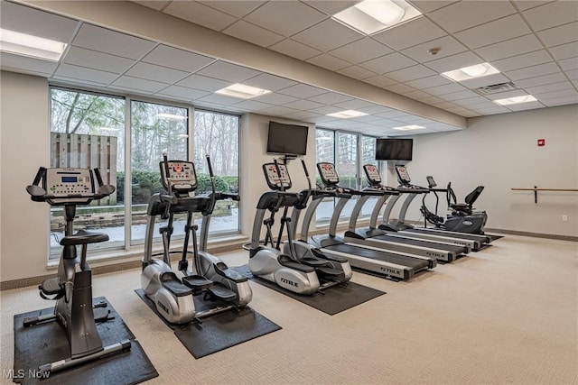 exercise room with carpet flooring, expansive windows, and a healthy amount of sunlight