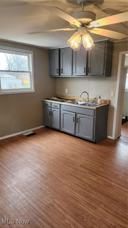 kitchen with gray cabinetry, ceiling fan, light wood-type flooring, and sink