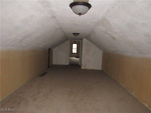 additional living space featuring light colored carpet, a textured ceiling, and vaulted ceiling