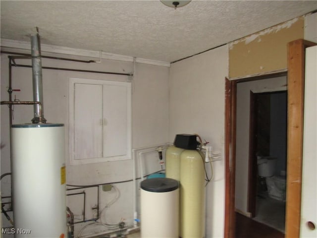 utility room with gas water heater