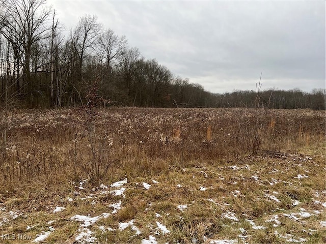 State Route 14, Deerfield OH, 44411 land for sale