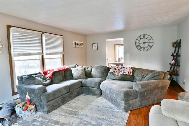 living room featuring hardwood / wood-style floors