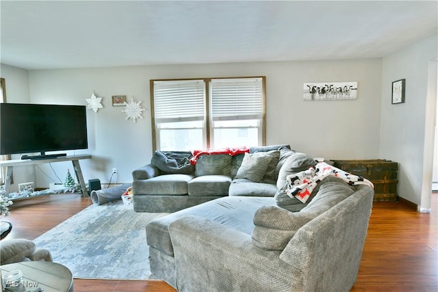 living room featuring hardwood / wood-style flooring