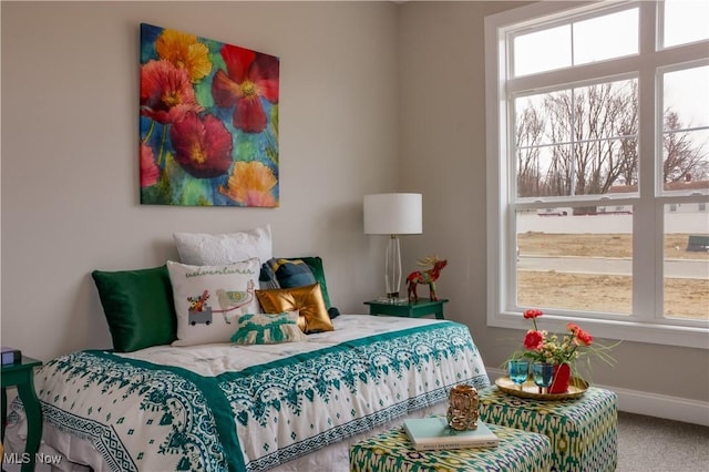 bedroom with carpet flooring