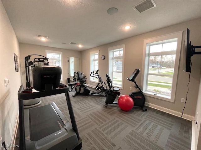 exercise area featuring carpet, a healthy amount of sunlight, and a textured ceiling