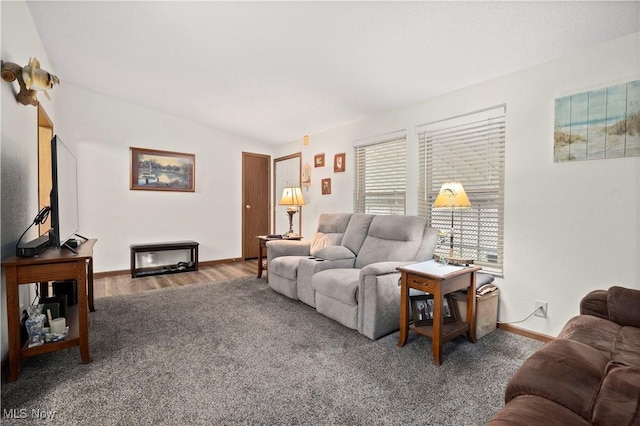 living room with wood-type flooring