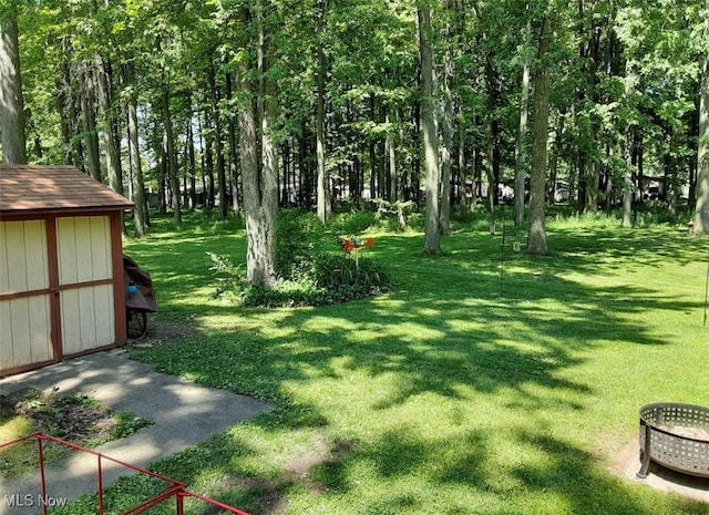 view of yard featuring a storage shed