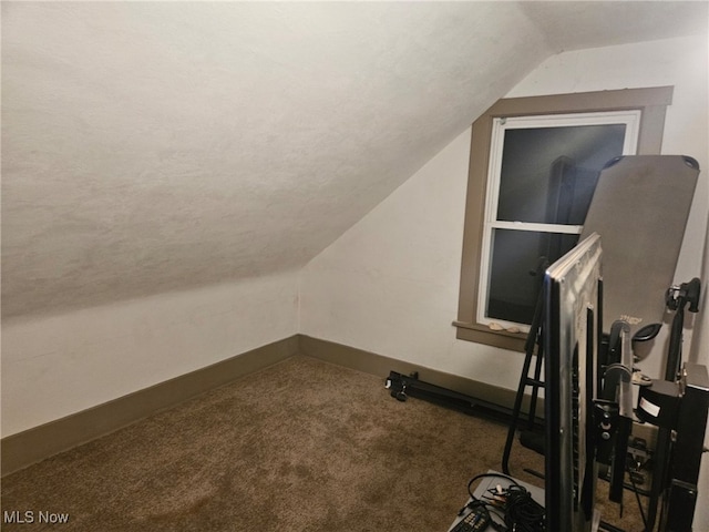 additional living space featuring carpet floors and lofted ceiling