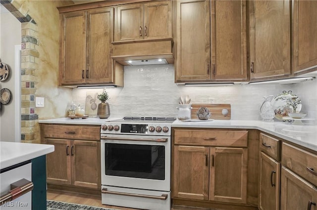 kitchen with decorative backsplash, premium range hood, high end stainless steel range oven, and light hardwood / wood-style floors