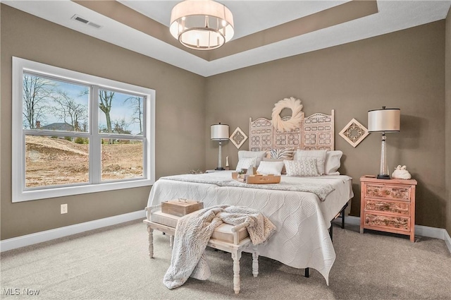 bedroom featuring a raised ceiling and carpet floors