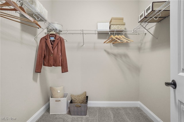 walk in closet with carpet floors